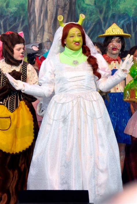 Fionas Wedding Dress Shrek Costumes Shrek Costume Shrek Wedding