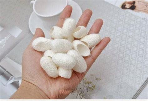 I Tried The Korean Skin Care Trend Of Cleaning My Face With Silkworm Cocoons Yourtango