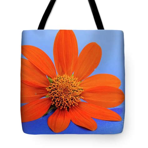 Vibrant Daisy Tote Bag By Andrea Anderegg Tote Bag Bags Tote