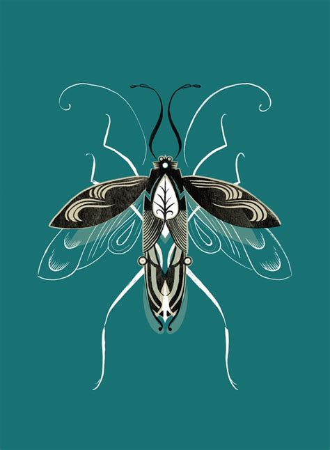 Adam Gale Prints — Beetle 5