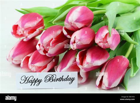 Feliz Cumpleaños Tarjeta Con Rosa Tulipanes Fotografía De Stock Alamy
