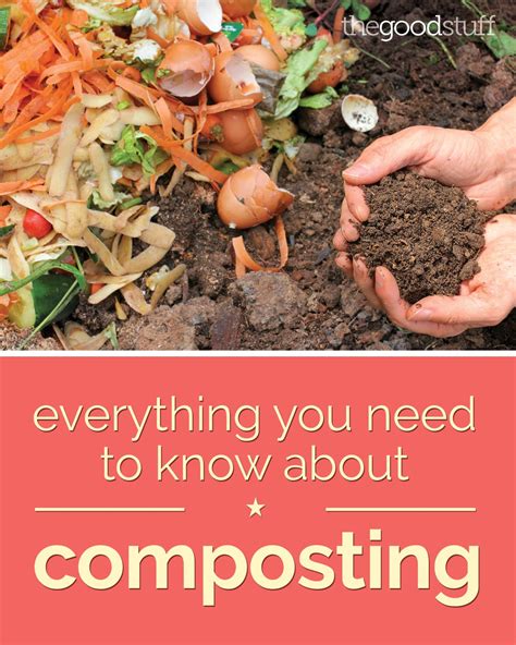 Everything You Need To Know About Composting Thegoodstuff