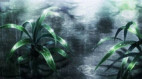Plants In The Rain Anime Scenery Aesthetic Anime Aesthetic 