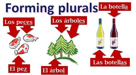 Plural In Spanish A1 Learn Spanish Online