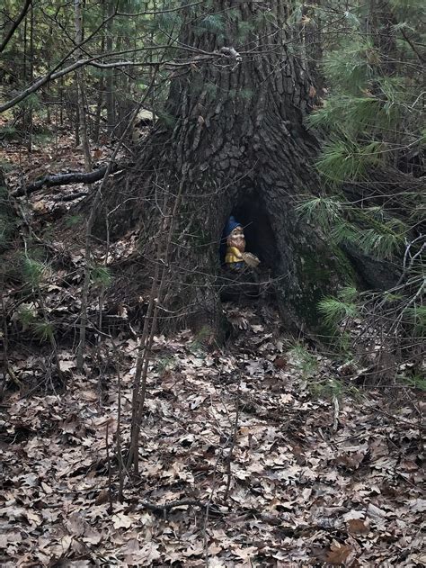 16 Creepy Things People Stumbled Upon In The Woods