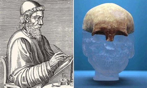 Long Lost Cast Of The Skull Of The Venerable Bede Found In Storage
