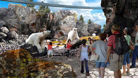 Zoo Unveils Plans For New Polar Bear Exhibit