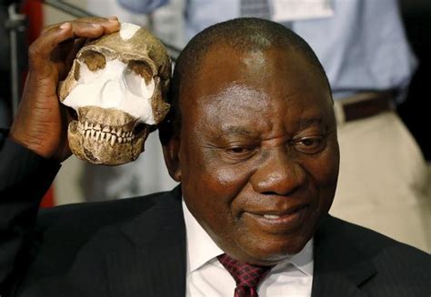 Der stammbaum des menschen hat zuwachs bekommen! Homo naledi - New almost human relative - Homo naledi - discovered in South Africa - CBS News