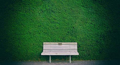 Beautiful Bench In Garden Hd Nature 4k Wallpapers Images