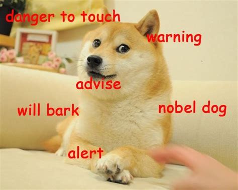 The Best Of The Doge Meme Doge Meme Funny Dogs Dog Memes