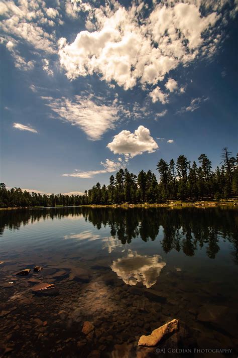 Summer On The Lake Willow Springs Lake Near Payson Arizona Arizona