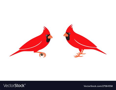 Cardinal Bird Royalty Free Vector Image Vectorstock