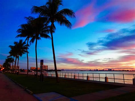 Travelers go to miami mainly for miami beach and they go to miami beach mainly for south beach, the region's unrivaled crown jewel, which visitors say they can't get enough of. Miami Shores | Area | Miamism