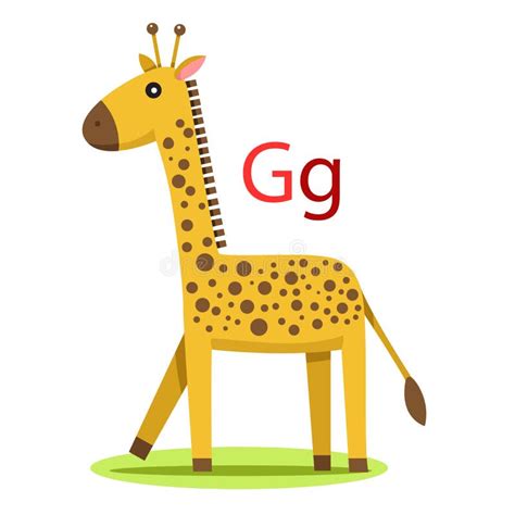 G Alphabet Vector Animal Stock Vector Illustration Of Vector 116453262