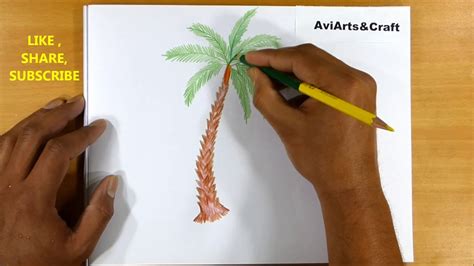 How To Draw A Palm Tree Easy Step By Step Youtube