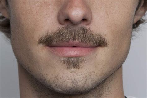 Moustache Close Up Moustache Style Moustaches Men Mustache Styles