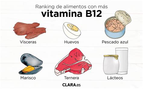 Los Mejores Alimentos Que Son Ricos En Vitamina B12 Culturafit A8b