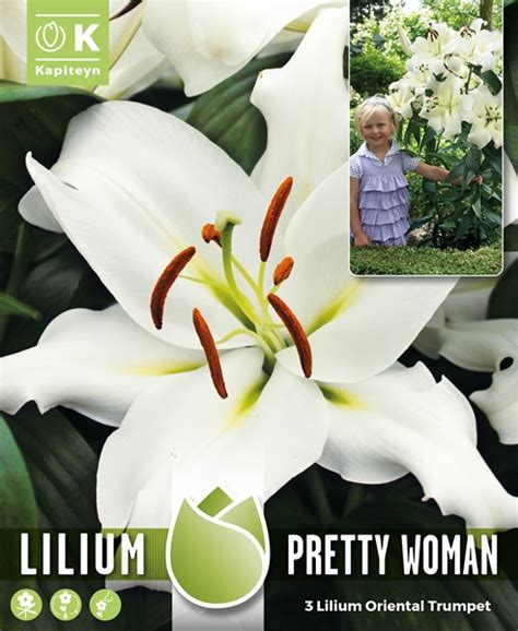 Tree Lilium Pretty Woman 3 Ardcarne Garden Centre Roscommon And Boyle