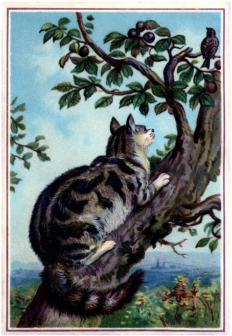 Vintage Cat In Tree Image With Bird The Graphics Fairy