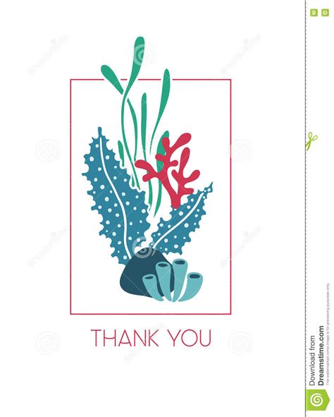 Thank You Underwater Greeting Card With Seaweeds Stock Vector