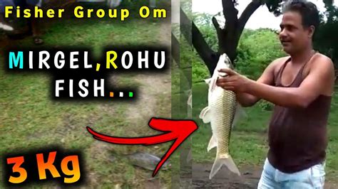 Chhattisgarh Fishing Group Om Rohu Mirgal Talabiya Fish Youtube