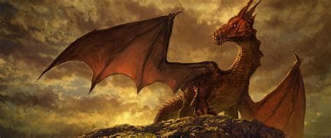 3440x1440 Dragon Wallpapers Top Free 3440x1440 Dragon Backgrounds