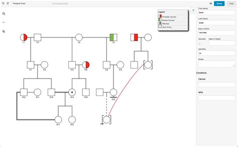 How to make a pedigree chart using microsoft word step 1: Genial Pedigree Draw, Pedigree Drawing Software, Genetic ...