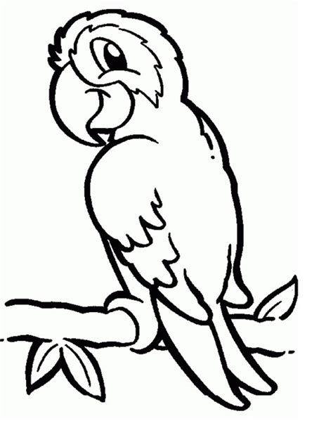 Parrots Coloring Pages To Download And Print For Free Coloring Home