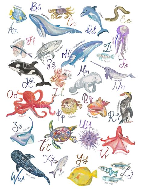 Sea Life Alphabet