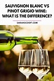 Sauvignon Blanc vs Pinot Grigio: What is The Difference?