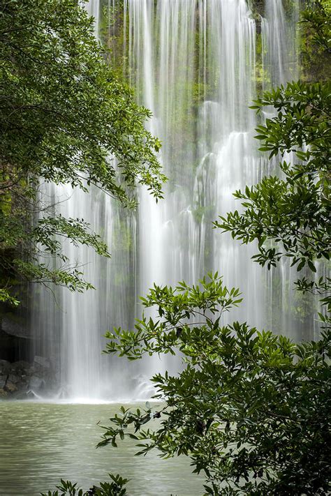 Waterfall Through Trees Photograph By Juan Carlos Vindas