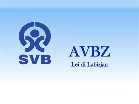 How To Appeal A Rejection For Avbz Lei Di Labizjan By