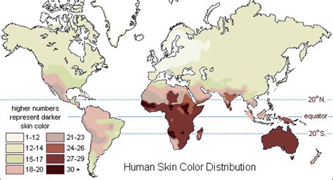 Por Que As Pessoas Têm Cores De Pele Diferentes