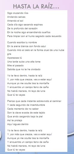 Hasta La Raízto B Music Lyrics Songs Lyrics