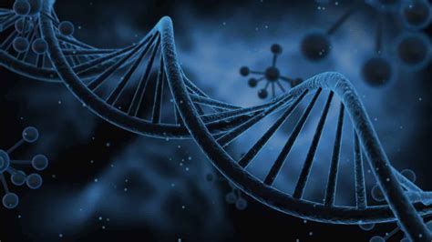Free Download Dna Background The Human Longevity Project 1600x900 For