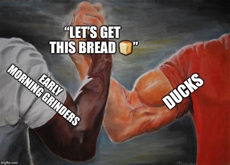 Ducks And Grinders Get This Bread Lets Get This Bread Know Your Meme