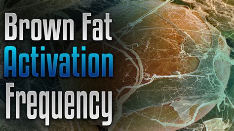 🎧 Brown Fat Activation Frequency Binaural Rapid Healthy Weight Loss
