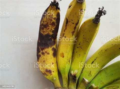Anthracnose Disease On Riped Banana Fruit In Viet Nam Stock Photo