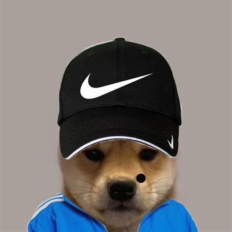 Perro Con Gorra Turro Gorras Perros Perrito