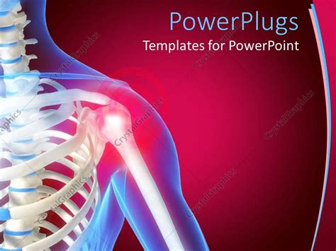 Powerpoint Template Skeleton Showing The Anatomy Of Shoulder Red