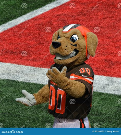 Cleveland Browns Mascot Cleveland Browns To Unveil Live Bulldog