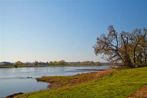 Free Images River Elbe East Germany Spring Trees Body Of Water
