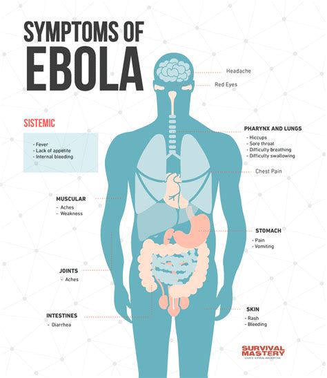 the ebola virus virus origin transmission symptoms and recovery