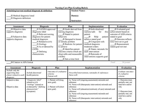 2 Nursing Care Plan Template And Grading Rubric Nursing Care Plan