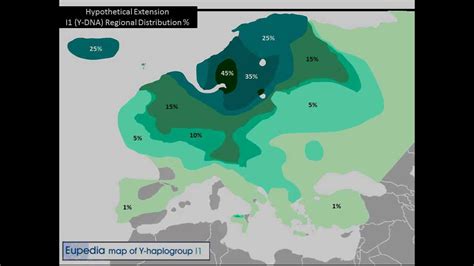 I1 Y Dna Haplogroup At The End Of The Ice Age Youtube