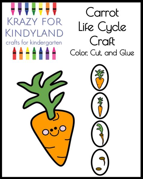 Life cycle activity with carrot life cycle craft for science centers