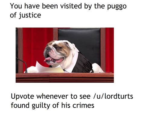 You Have Been Visited By The Puggo Of Justice Bamboozle Know Your Meme