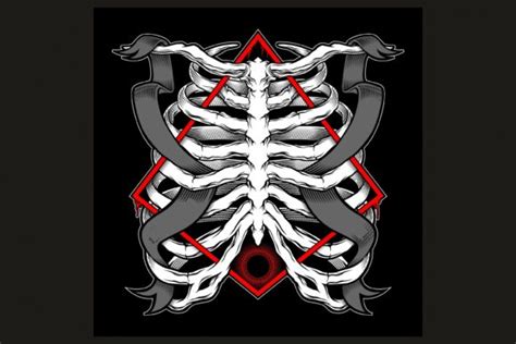 Illustration Of Human Rib Cage Vector Graphic By Epic Graphic