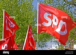 flags of the German Social Democratic Party (SPD Stock Photo - Alamy