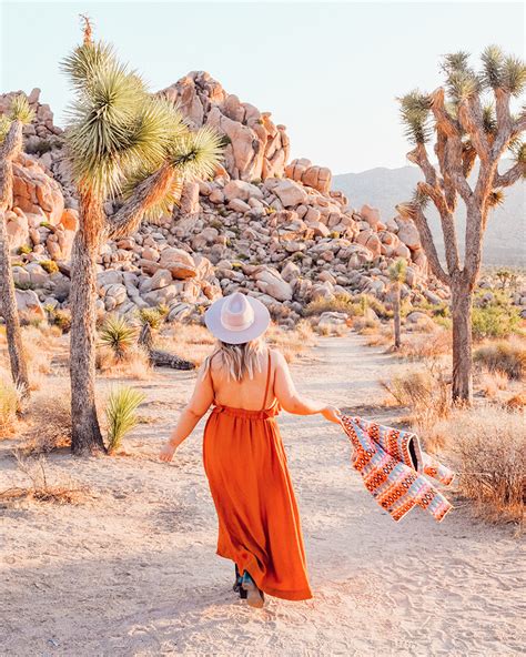 Joshua Tree Travel Guide Erika Carlock Bohemian Lifestyle Blog